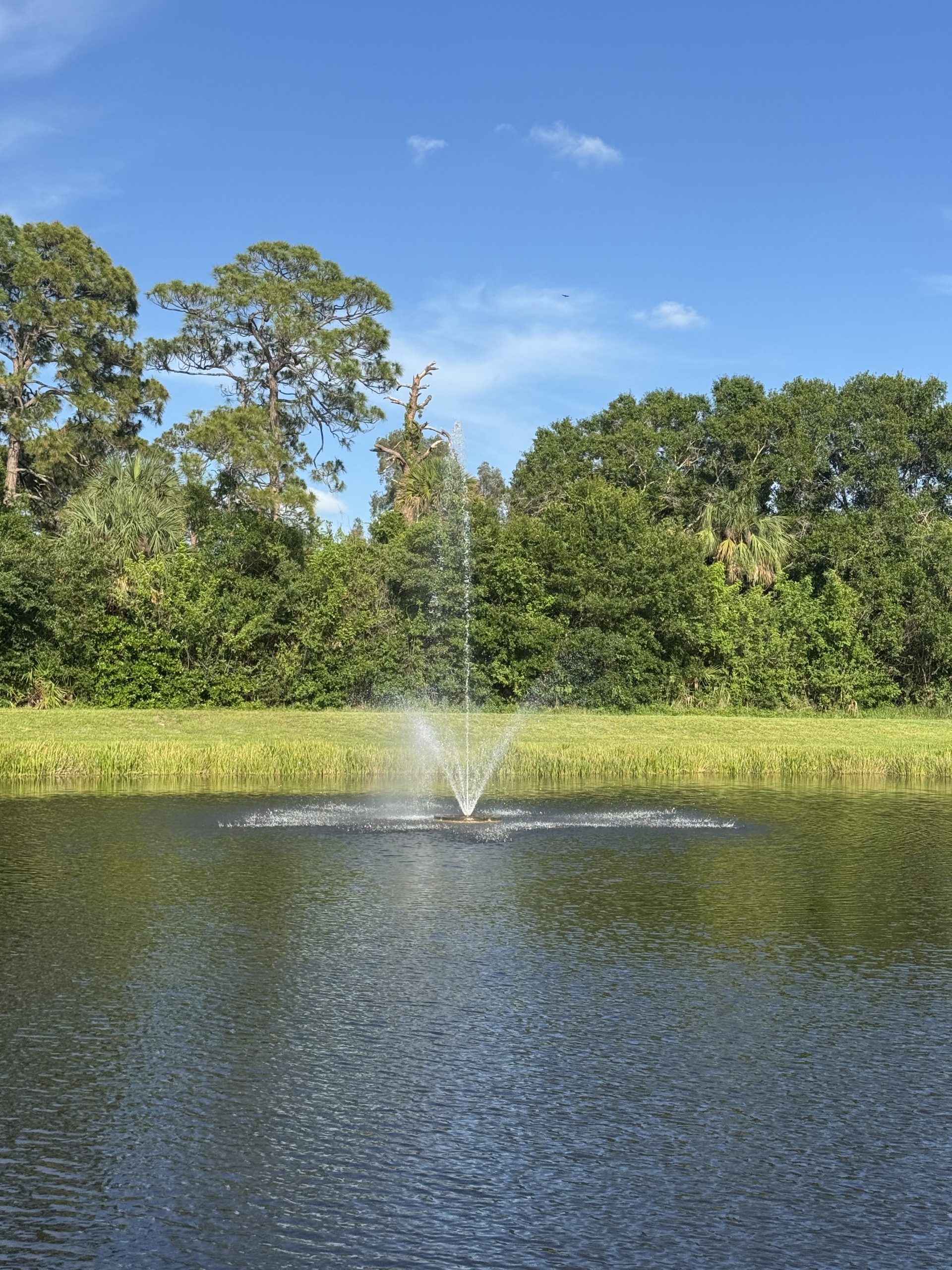 Daytime view of lake and fountain at Amelia Plantation