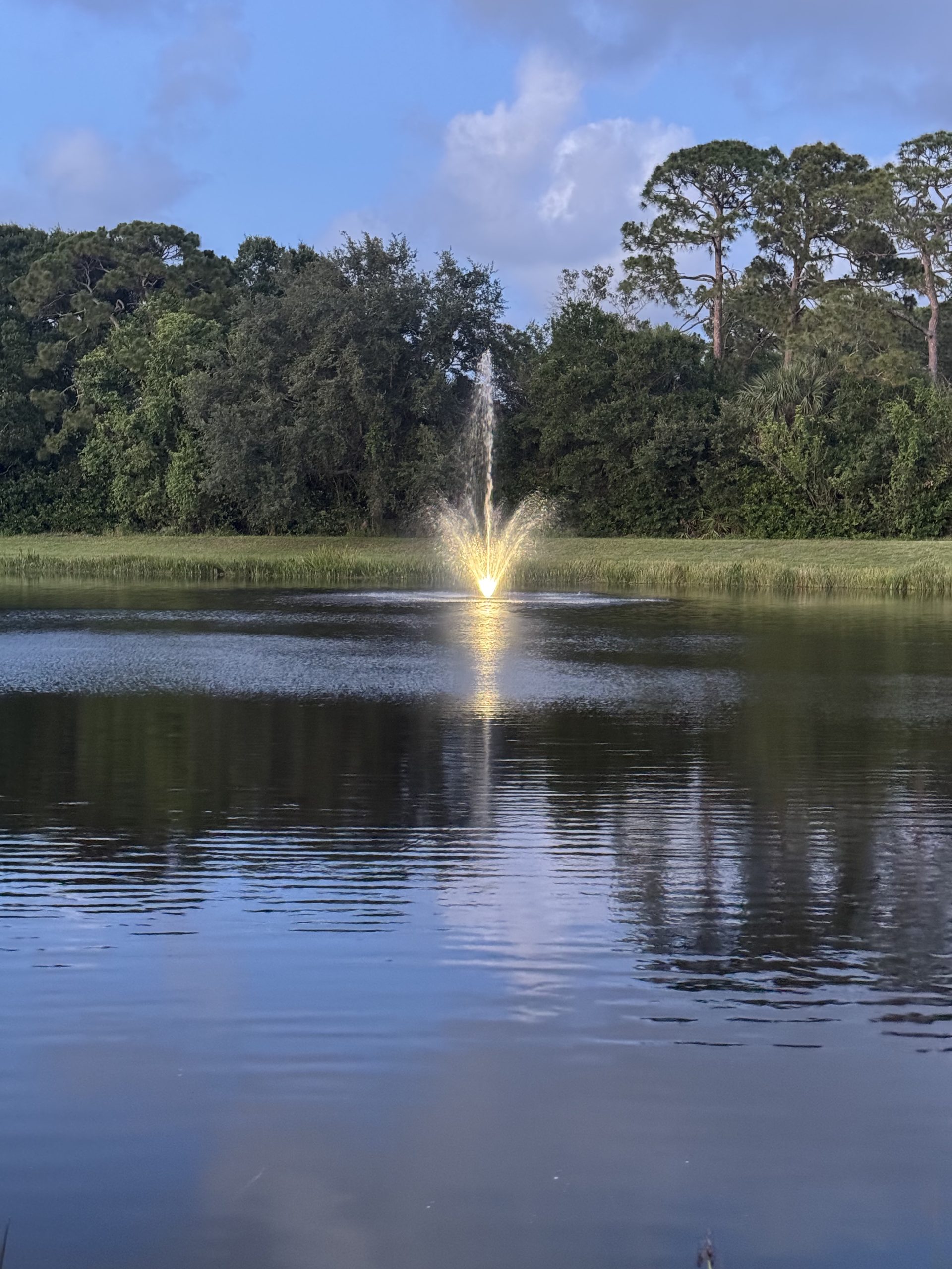 Afternoon view of lake and fountain at Amelia Plantation